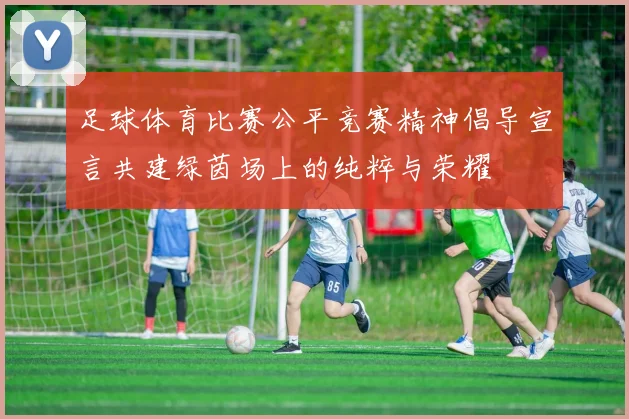 足球体育比赛公平竞赛精神倡导宣言共建绿茵场上的纯粹与荣耀