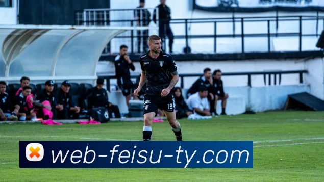 飞速体育平台生态图