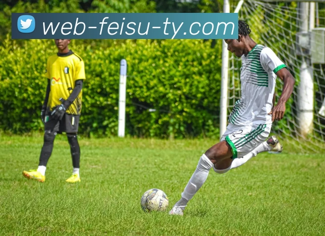 飞速体育全站App